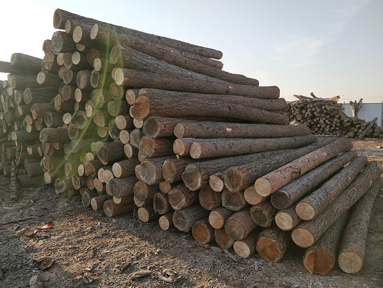 忻州销售木质垫木价格