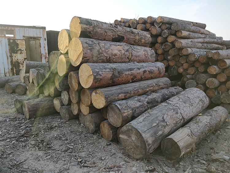 河北专业木质包装板价格