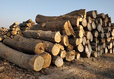 防腐木制品开裂原因及防治措施